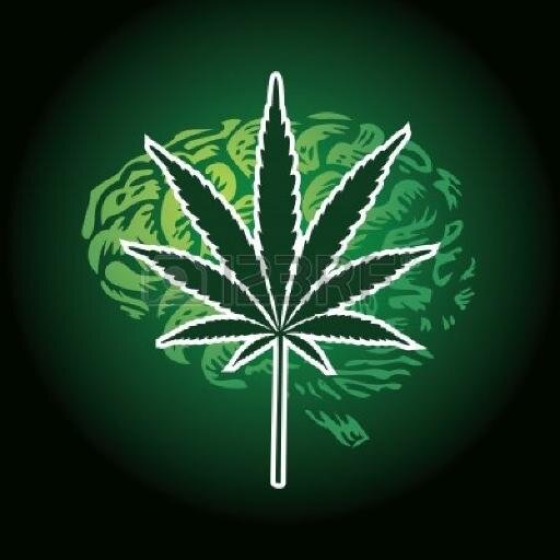 The official high minded twitter account! For those who love weed! (18+) |Send your high thoughts to: stonermind1@yahoo.com | Snapchat us too! : stonerminded