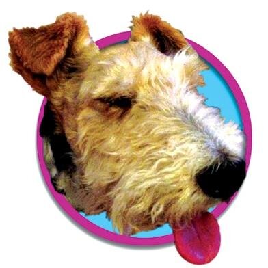 LJ_Artist's profile picture. Artist who is fixated by colour.