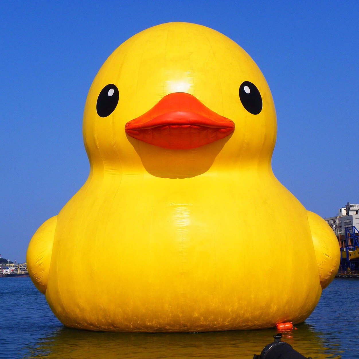 Add me on Xbox, GT: a RU88ER DUCK