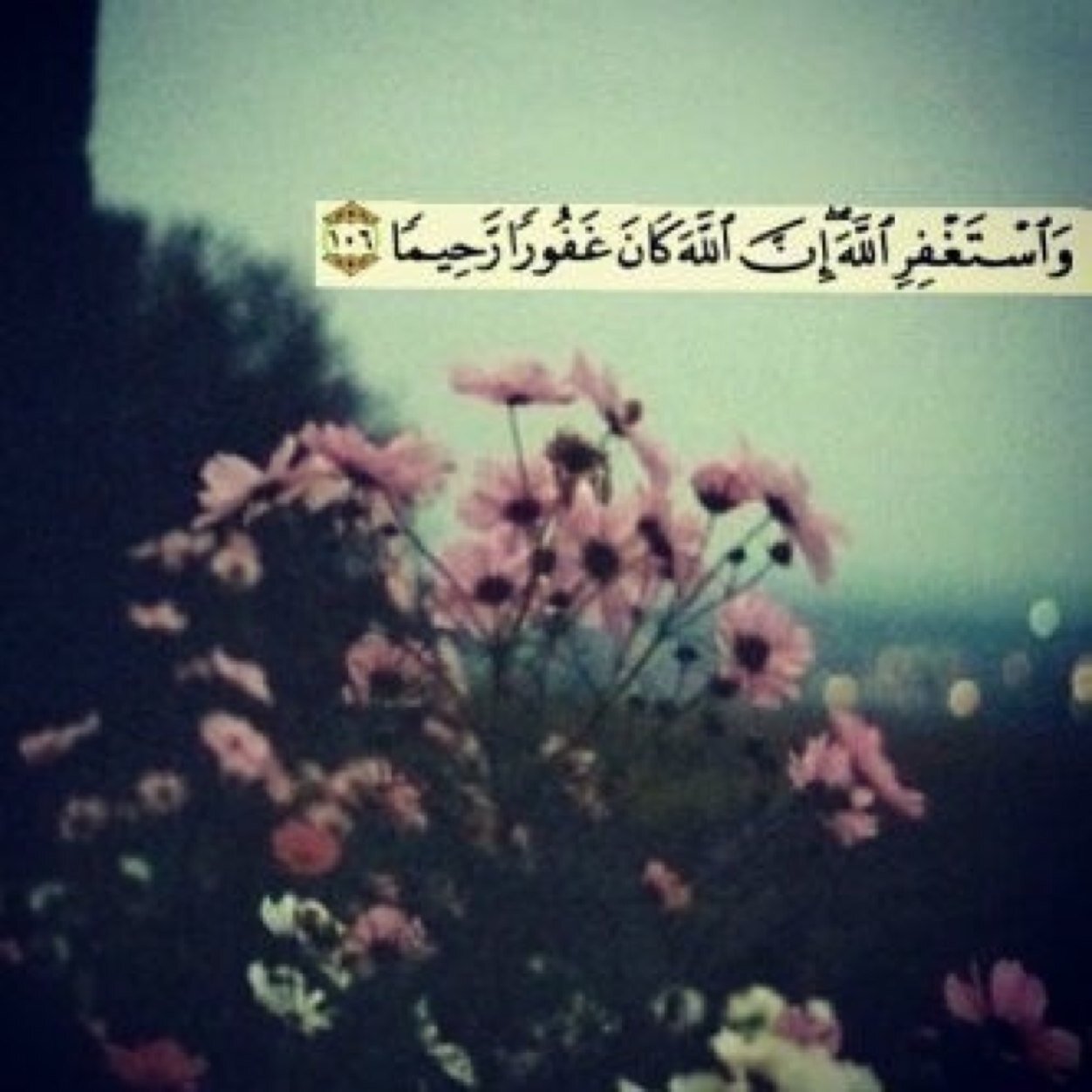 انشاءت هذا الحساب لكسب الاجر لي و لمن يقرأ تغريداتي فأنشروا هذا الحساب لنكسب الاجر معاً♥.