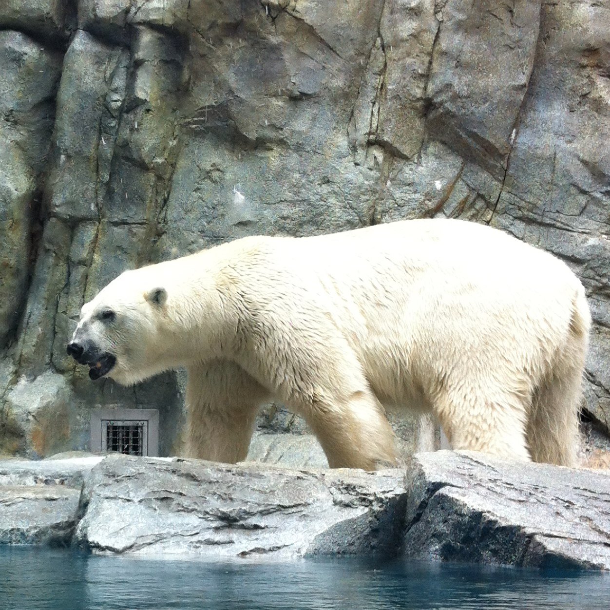 enjoy01music01's profile picture. 