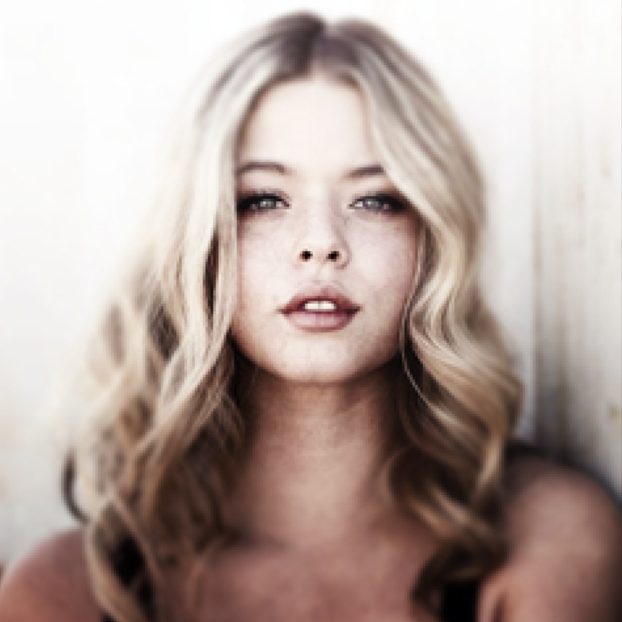 alison12447's profile picture. 