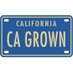 CA GROWN (@cagrownofficial) Twitter profile photo CA GROWN (@cagrownofficial) Twitter profile photo