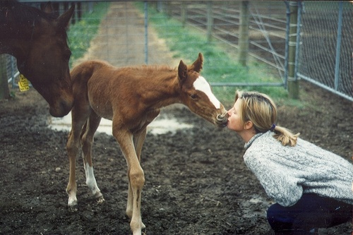 Jellybeanzoo's profile picture. 