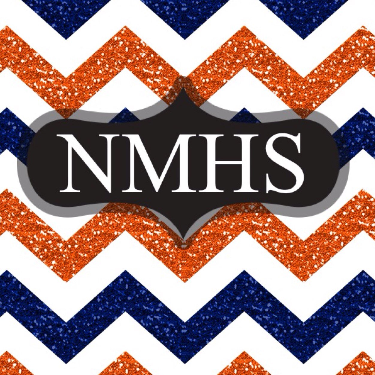 NMHSCounselors's profile picture. 
