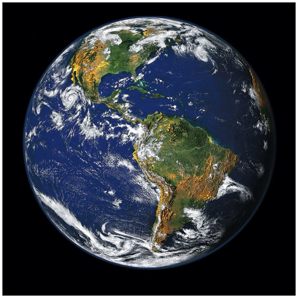 Bringing you the very best the world has to offer! Contact: worldsbesttwitter@gmail.com