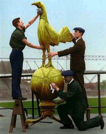 gregorourke's profile picture. am a mad spurs fan i hate man u and arsenal and I have 2 we girls who love spurs