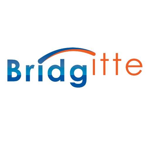 Bridgitte construit des ponts métaphoriques entre apporteurs d'affaires, dirigeants, experts, investisseurs et talents!