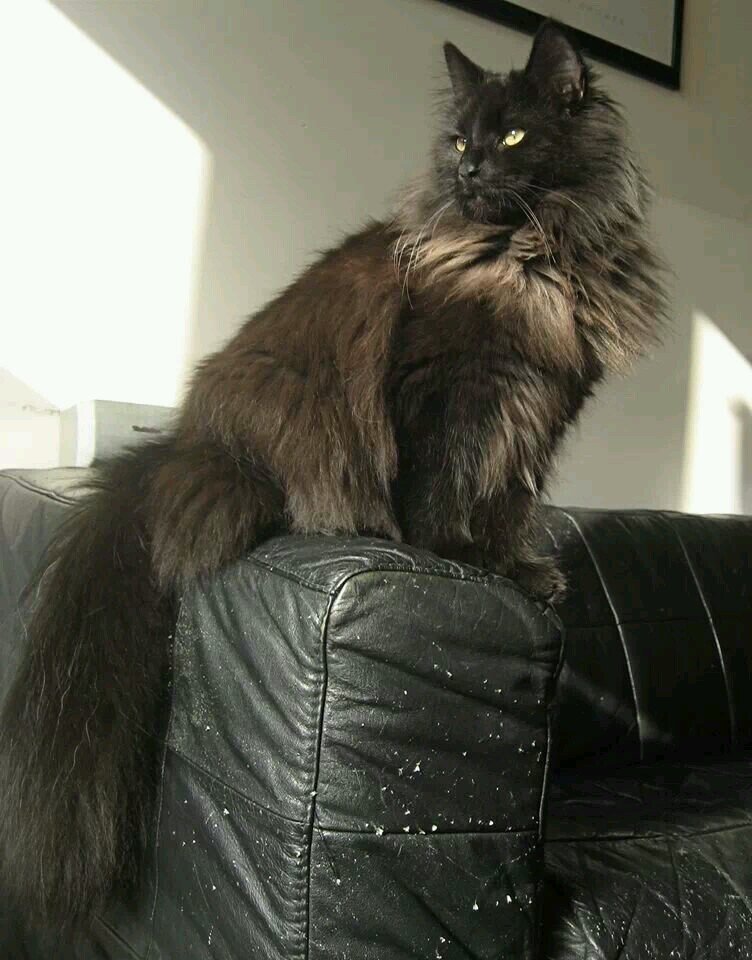 jeannyxxx's profile picture. me myself and I