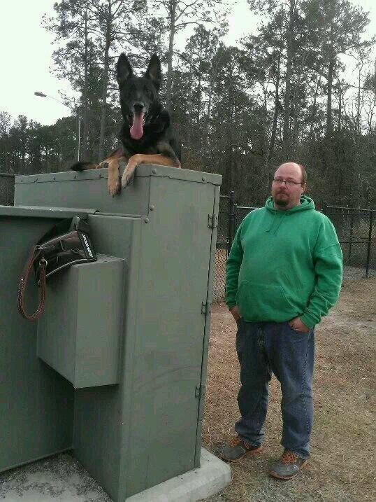 Retired Military and Certified Canine Behavior and Training Specialist. Scott has served the coastal Georgia area as a professional Dog trainer since 2003.