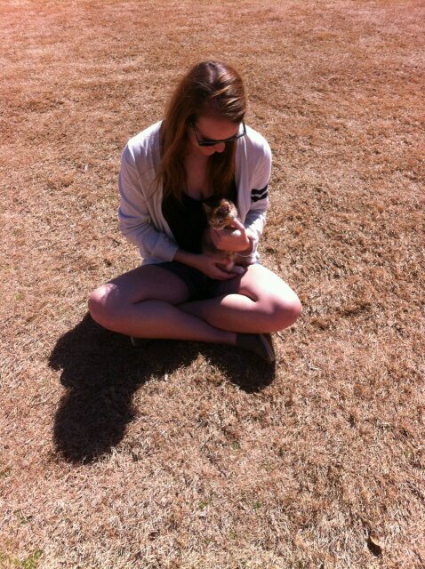 katrengibbs's profile picture. ΧΩ. Mercer University. GO BEARS!