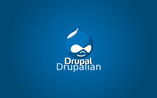 Drupalian's profile picture. 