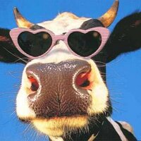 mandra filozofu  (@tiymetlimiz) Twitter profile photo