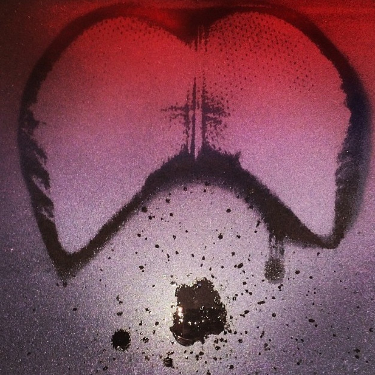 streasure3002's profile picture. FOLLOW ME FOLLOW BACK