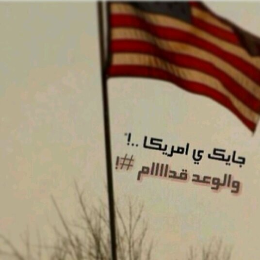 مدرسة‏‏‏‏‏ الاحفاد الثانويه الاهليه الحديثه