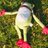 kero_taro's profile image