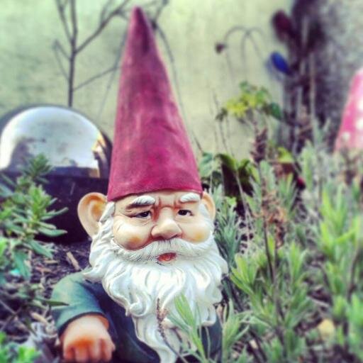 Writer, Photographer, Magickal Gardener