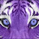 Tom Gray - @TigrePurpura - Twitter