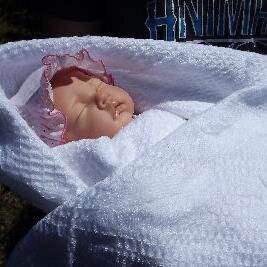 SaxonRebornsuk's profile picture. 