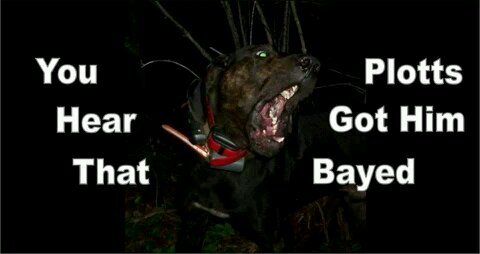 JoedyHarper's profile picture. 