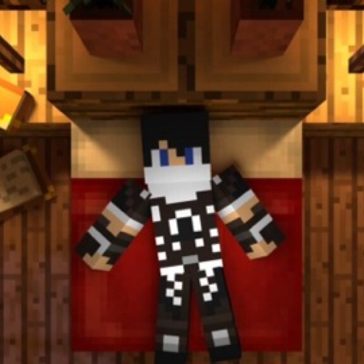 Name is Kevin aka The Assassin|Minecrafter|16y/o|Artist|Friends: @Teo_Plays_MC,@Slow_Silver,@Deadlox474,@Tenal77,@Jorge41070126|Minecraft PC IGN:fallwithus25|