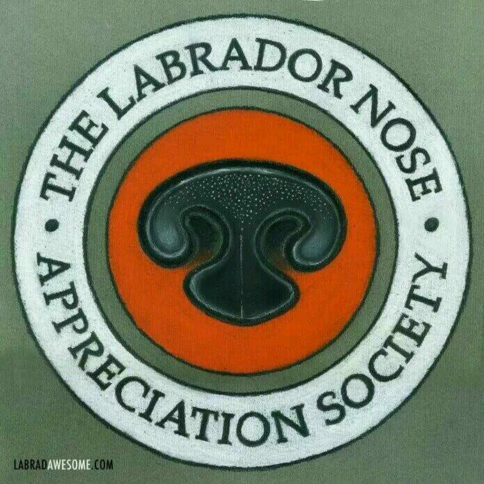 sadsdogs25's profile picture. 