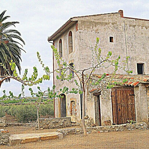 Entitat sense ànim de lucre