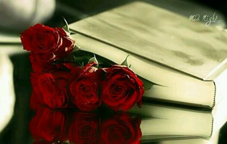 أﺟﻣل  الصّبہڕ̵  ﺣﯾن ﯾﻛونَ ﻧهآيته، شيء يسُعد القلب .. ♡♥