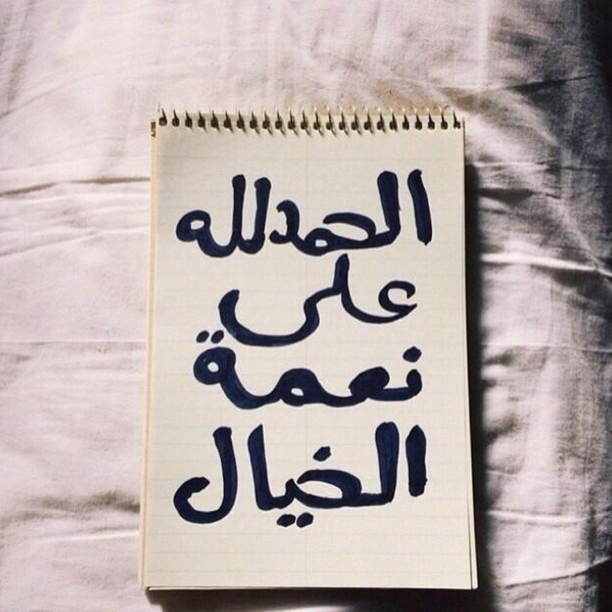 #ولاشي