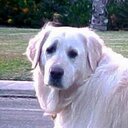 Fred Croft - @News_Reviewer - Twitter