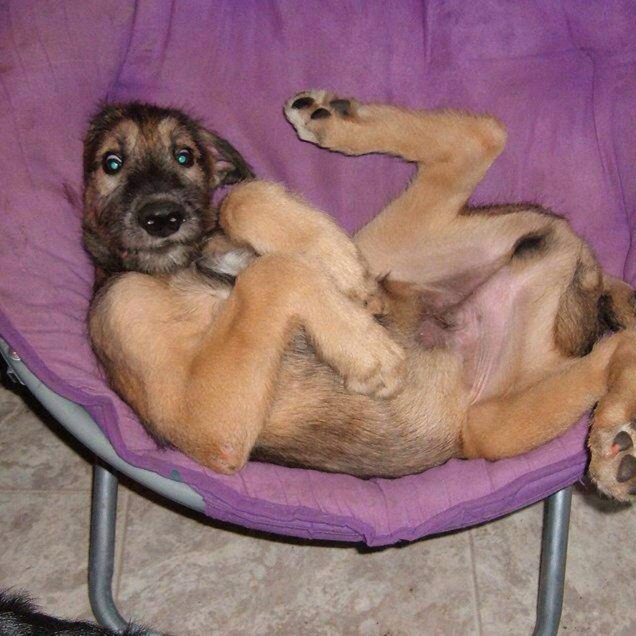 lizg12470's profile picture. 