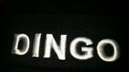 DINGO is identity—DINGO is the Brand—DINGOUP instagram—KEEP YO DINGO UP💯👍 Im Just an Inspired Creator as OUR Father... Sharing... KNOW YOSELF💯👍 DINGO UP💯👍