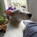 Marguerite Tyrrell - @margtyrrell - Twitter