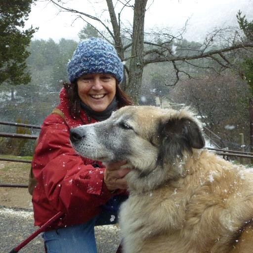 CCimarra's profile picture. Naturaleza, mar y montaña, esquí, perros, nieve... Pero mi mayor pasión, mi país ESPAÑA.