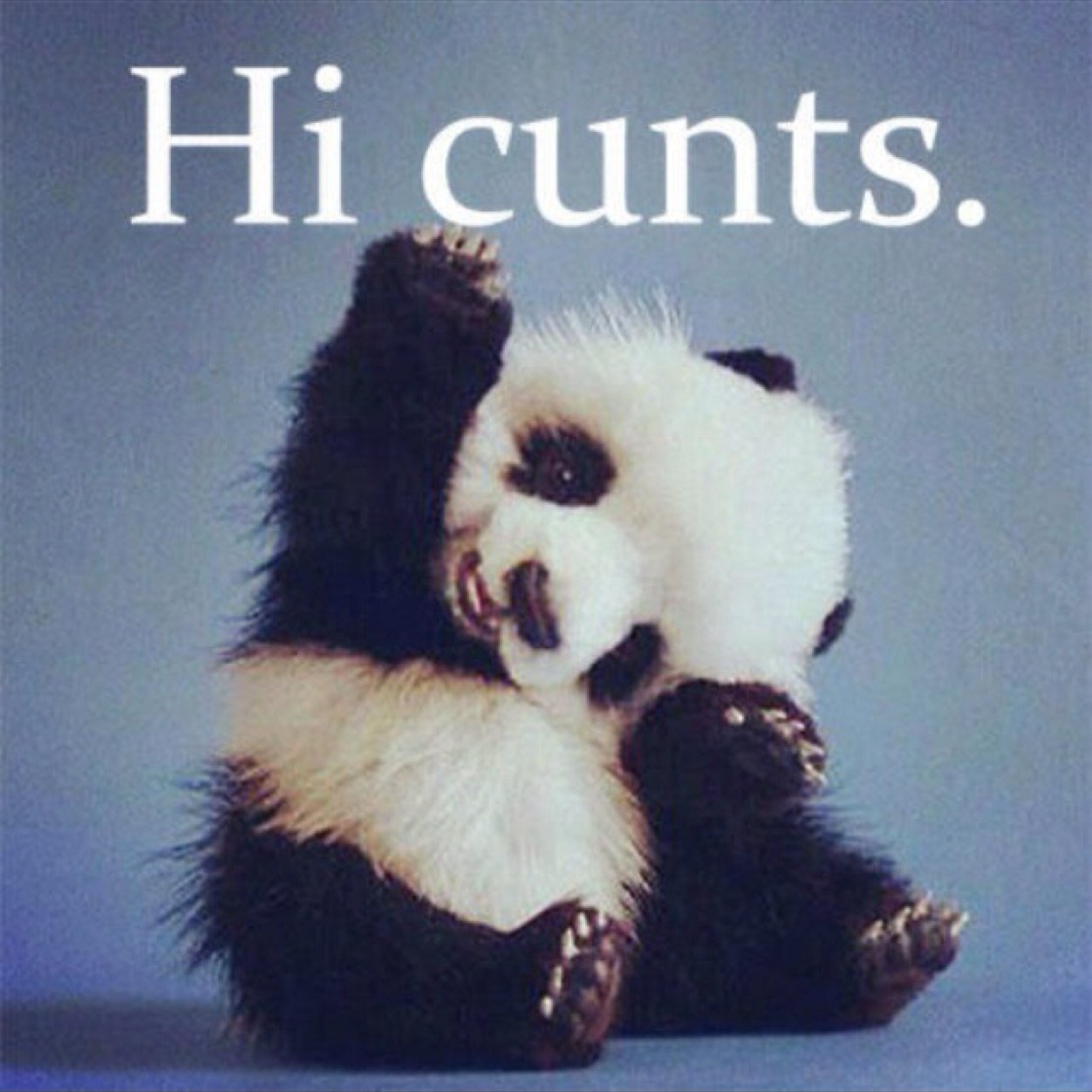 We love posting crazy, fun, outrageous stuff to make people laugh. Dont get offended!