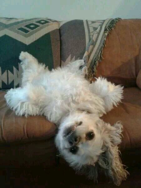 WMcCuaig's profile picture. Life isn't measured by the breaths web take but the moments that take our breath away.