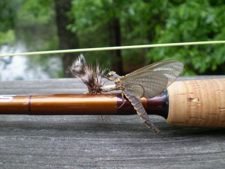 kgilly220's profile picture. 