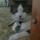 Dawn Oates - @hiccup730 - Twitter