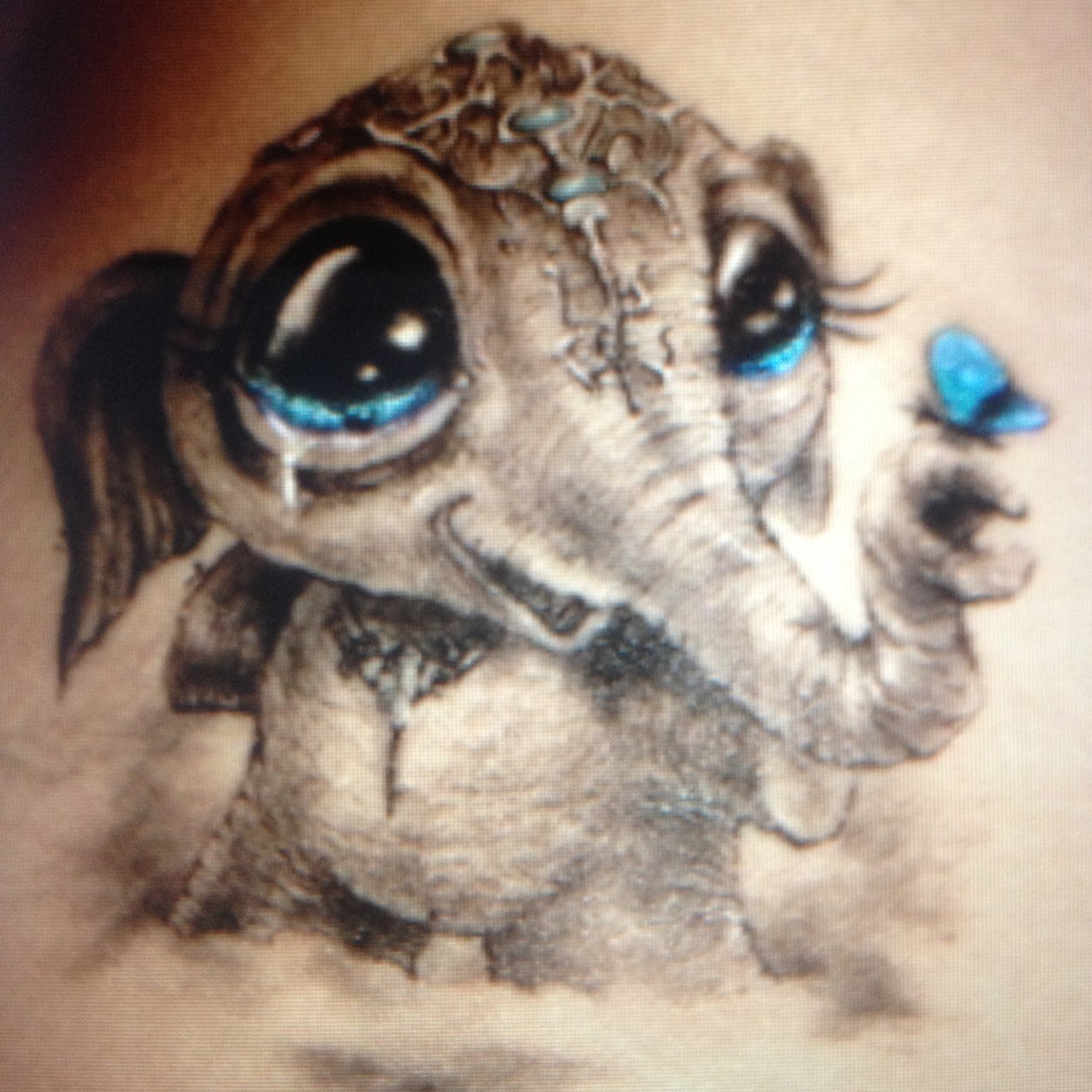 Ponygirl50Traci's profile picture. 