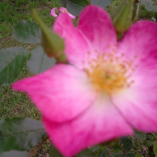 maria_marsol's profile picture. 