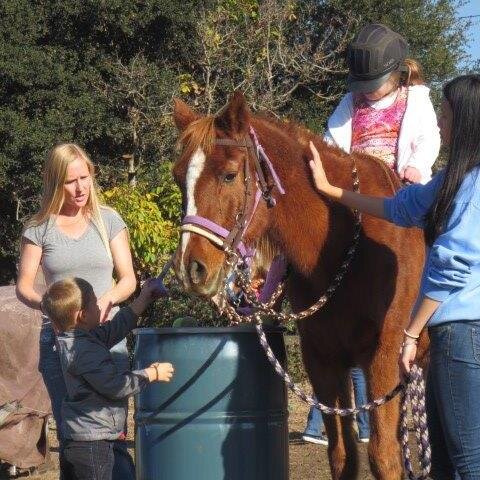 Hooves for Harmony, Inc. is a non-profit, community based organization that provides equine therapy for children with special needs.