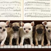 Como No Adorarlos (@comonoadorarlos) 's Twitter Profile Photo