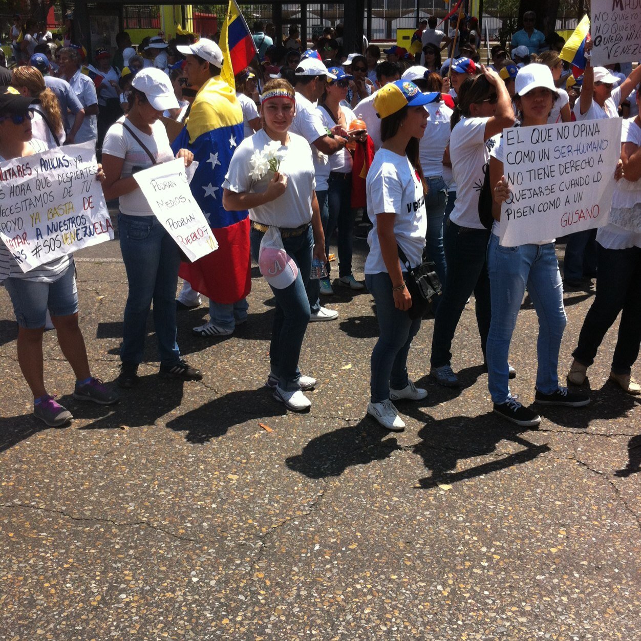 yesenialucia29's profile picture. 