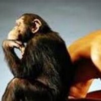 Lukman Budiman (@berbudiman) 's Twitter Profile Photo Lukman Budiman (@berbudiman) 's Twitter Profile Photo