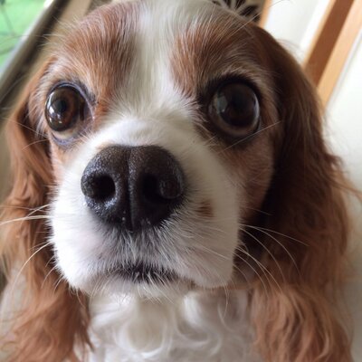 小林 詩織 Shi Kb Twitter 小林 詩織 Shi Kb Twitter
