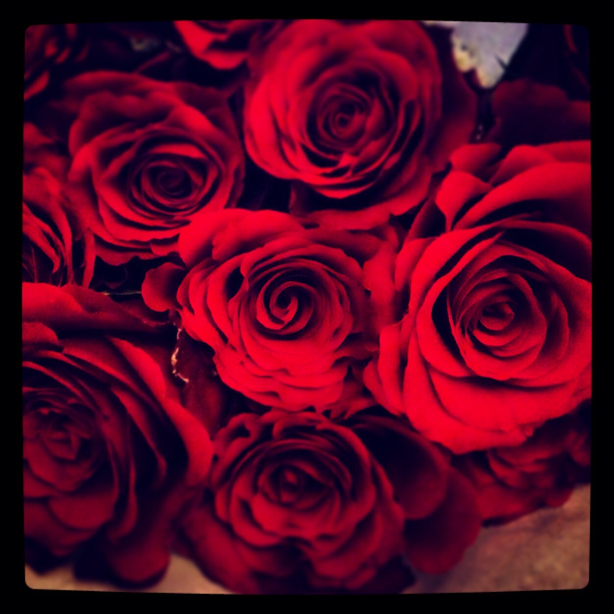 pixiedixie123's profile picture. 