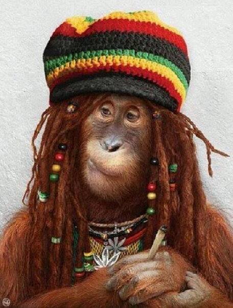 Gino4u2nv's profile picture. 