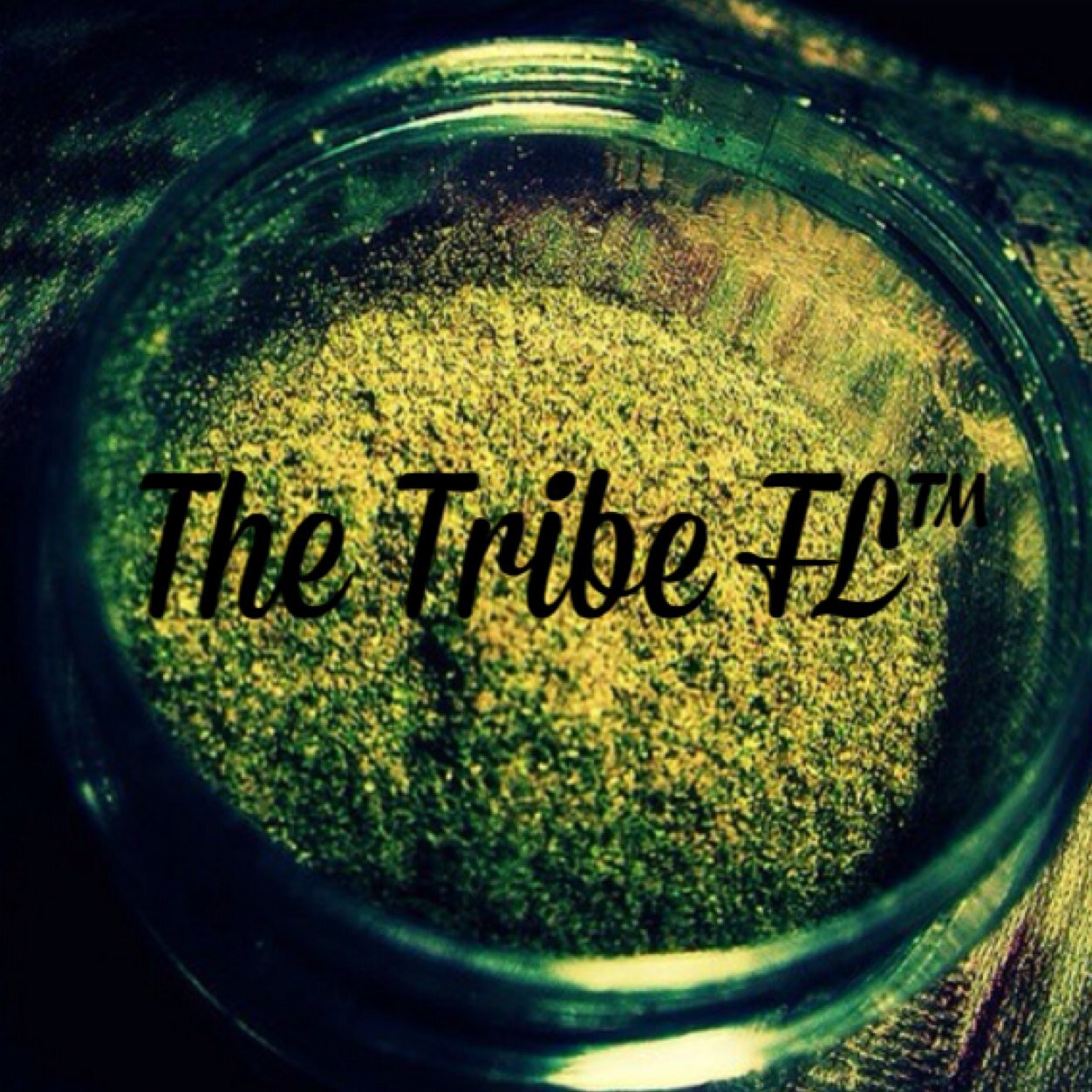 Orginator of The Tribe FL™ | East Coast | Smoker or Non-Smoker just FOLLOW to laugh and enjoy pictures of WEED | #StonerFam #StayTrippy #ImHigh
