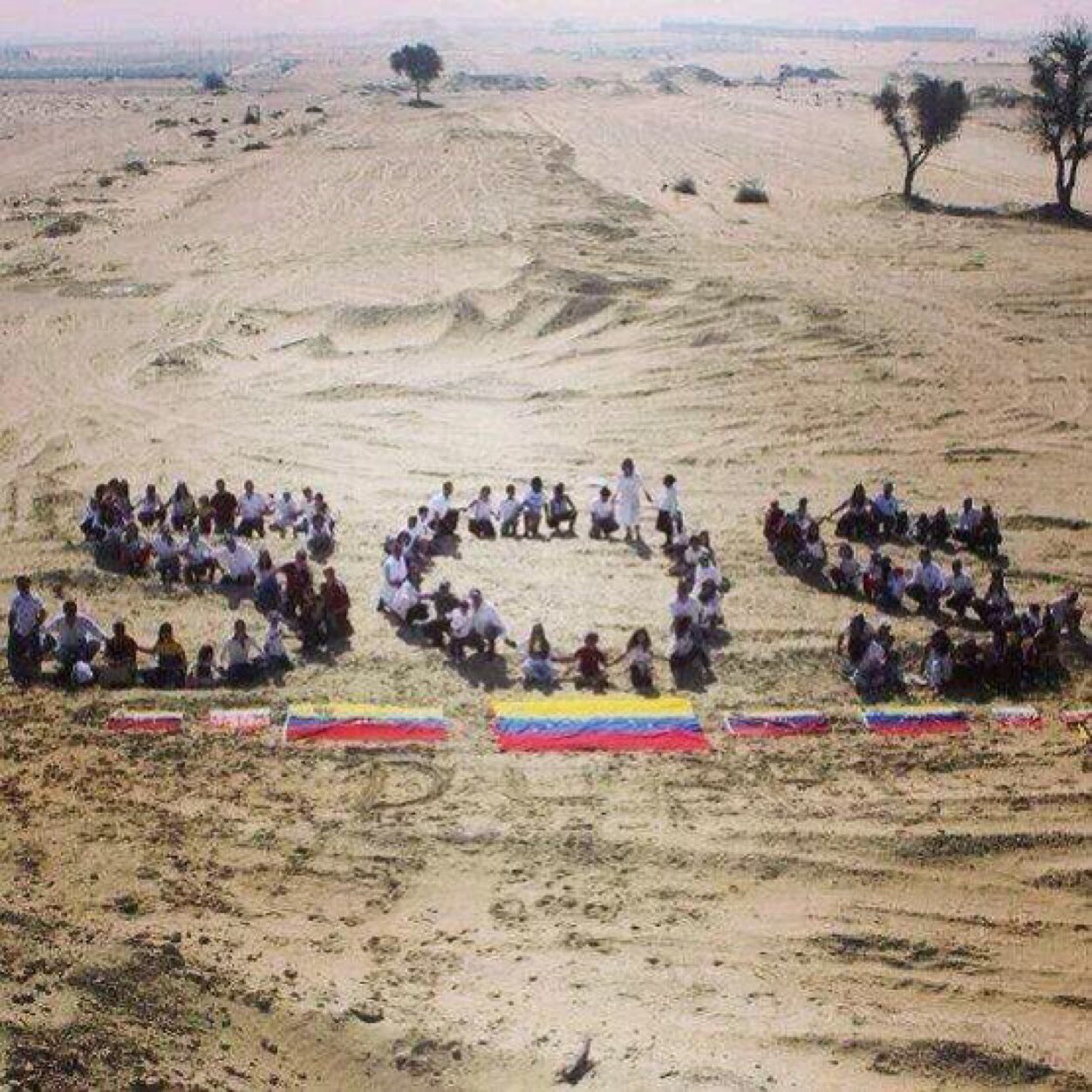 rgru_moda's profile picture. 