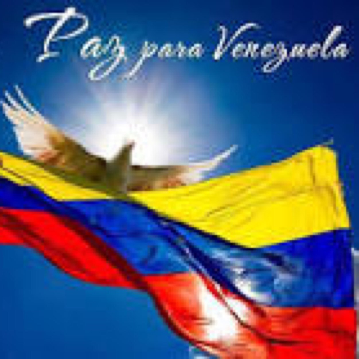 AlzaTuVoz_Vzla's profile picture. 